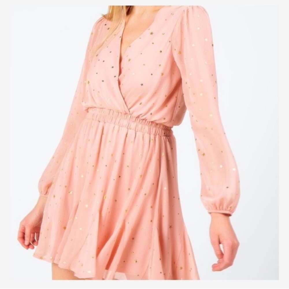 Francesca’s‎ mi ami, gold star, Godet Pink long sleeve ruffle mini dress.